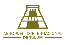 Icono Mexicana